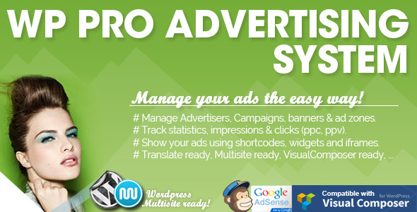 wp pro advertising system